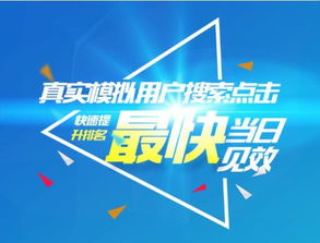 蜂鳥(niǎo)搜索營(yíng)銷系統(tǒng) 賦能上海企業(yè)高效網(wǎng)絡(luò)推廣的專業(yè)外包服務(wù)